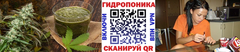 Еда ТГК конопля  Купить где  Велиж 