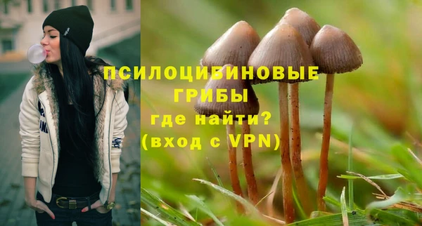МДПВ Алексин